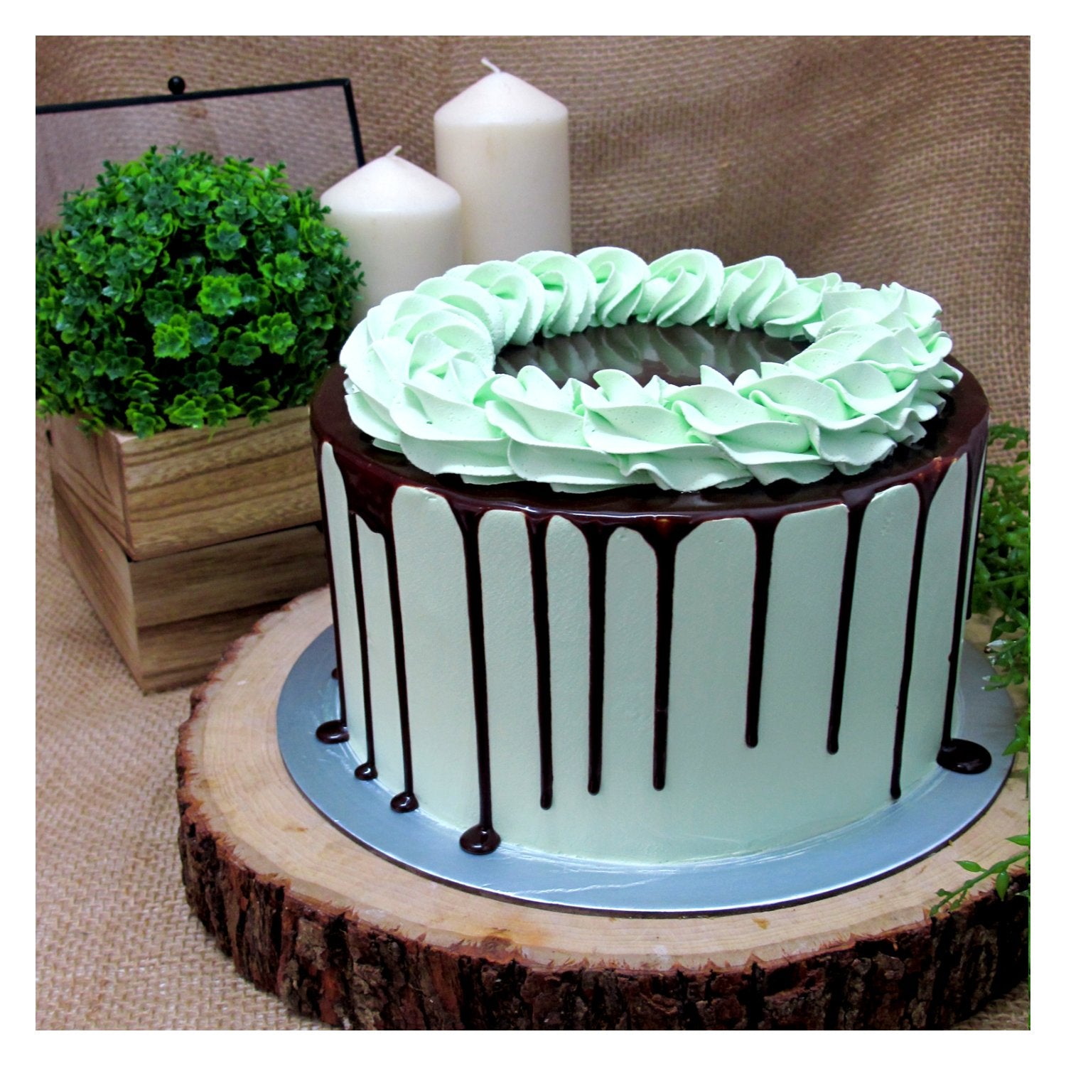 Minty Minty Chocolate