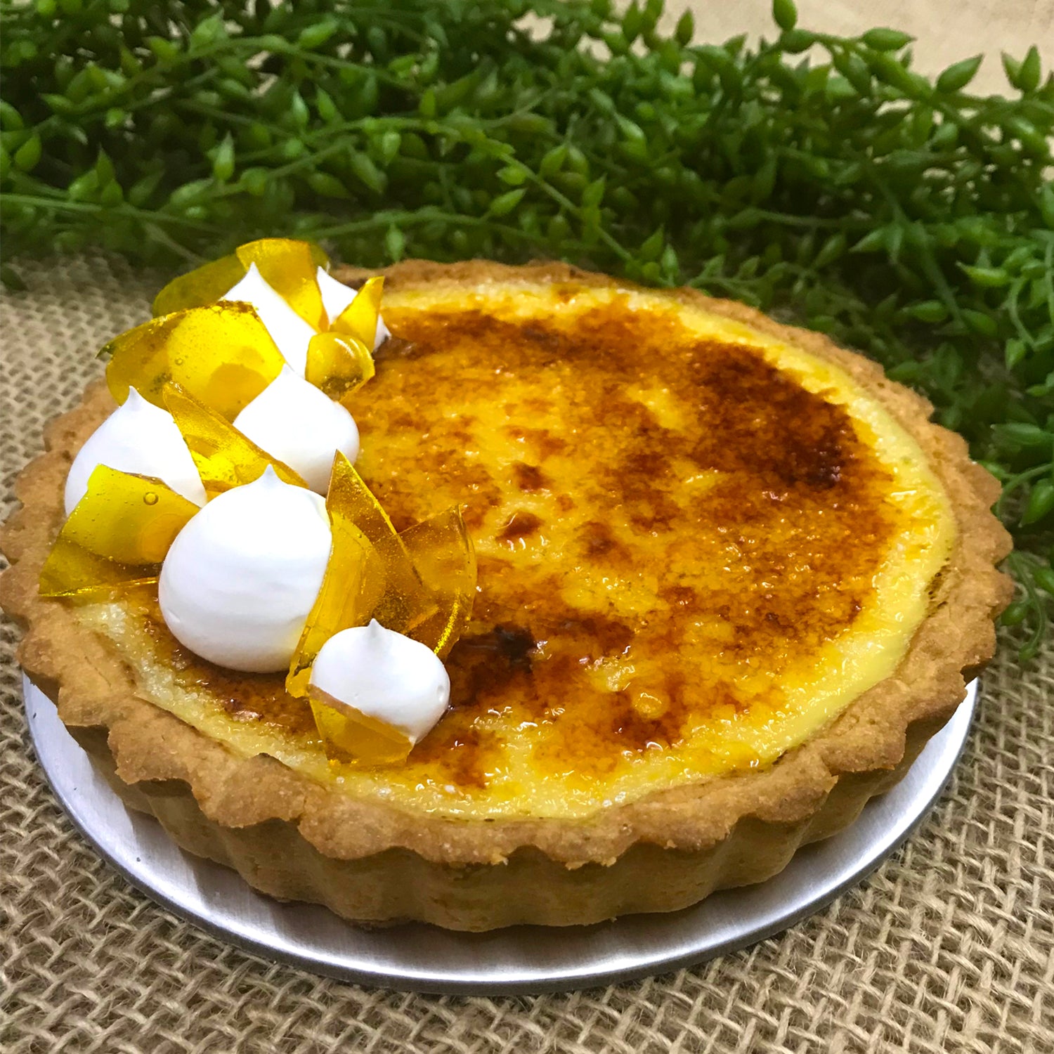Crème Brulee Tart